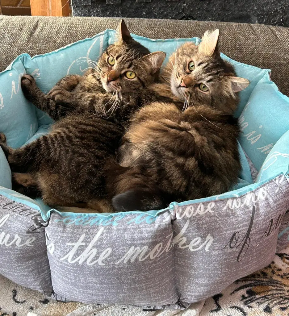 Kläuschen und Trixie