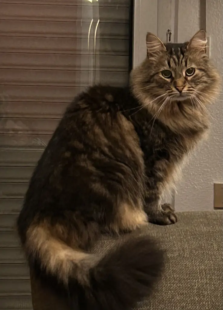 Und noch einmal Puschel