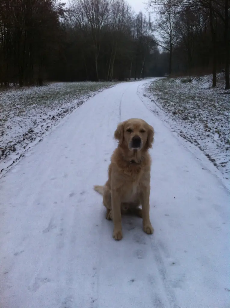 Andachtsbild von Andy und Piet ♥️