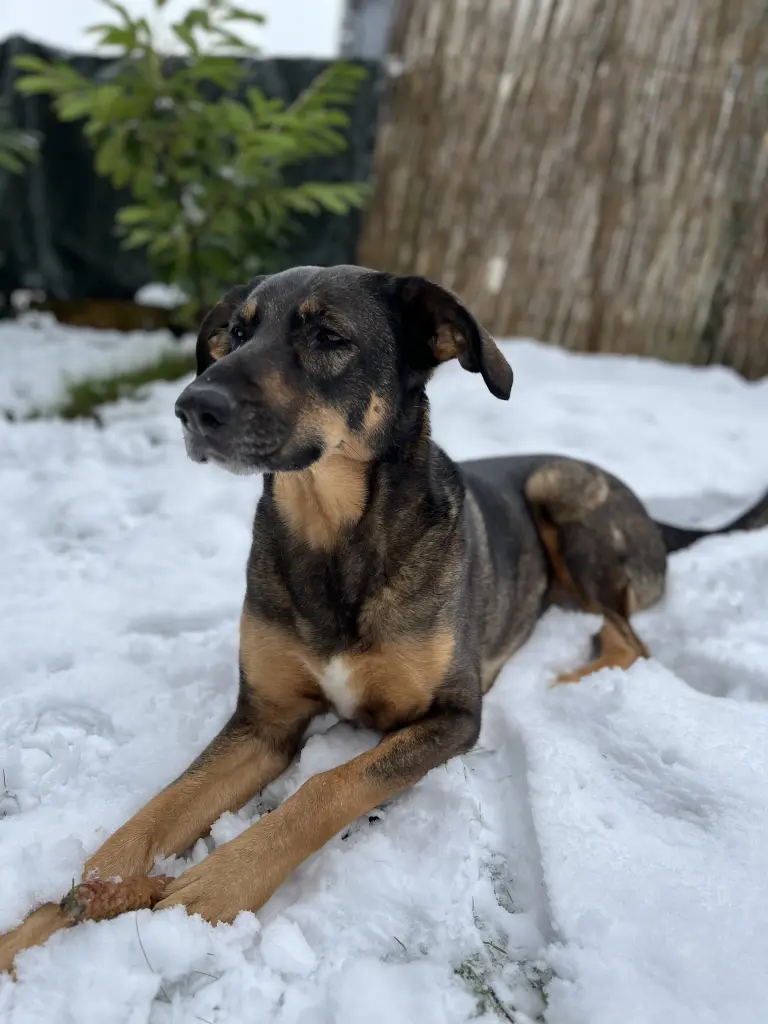 Andachtsbild von jule