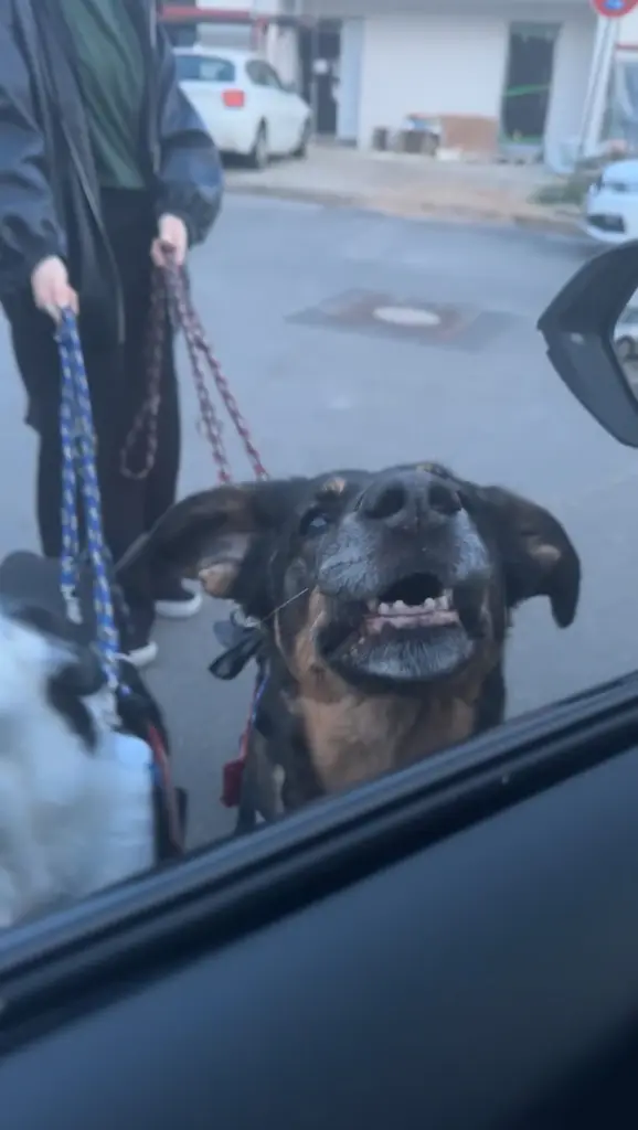 Andachtsbild von Niklas