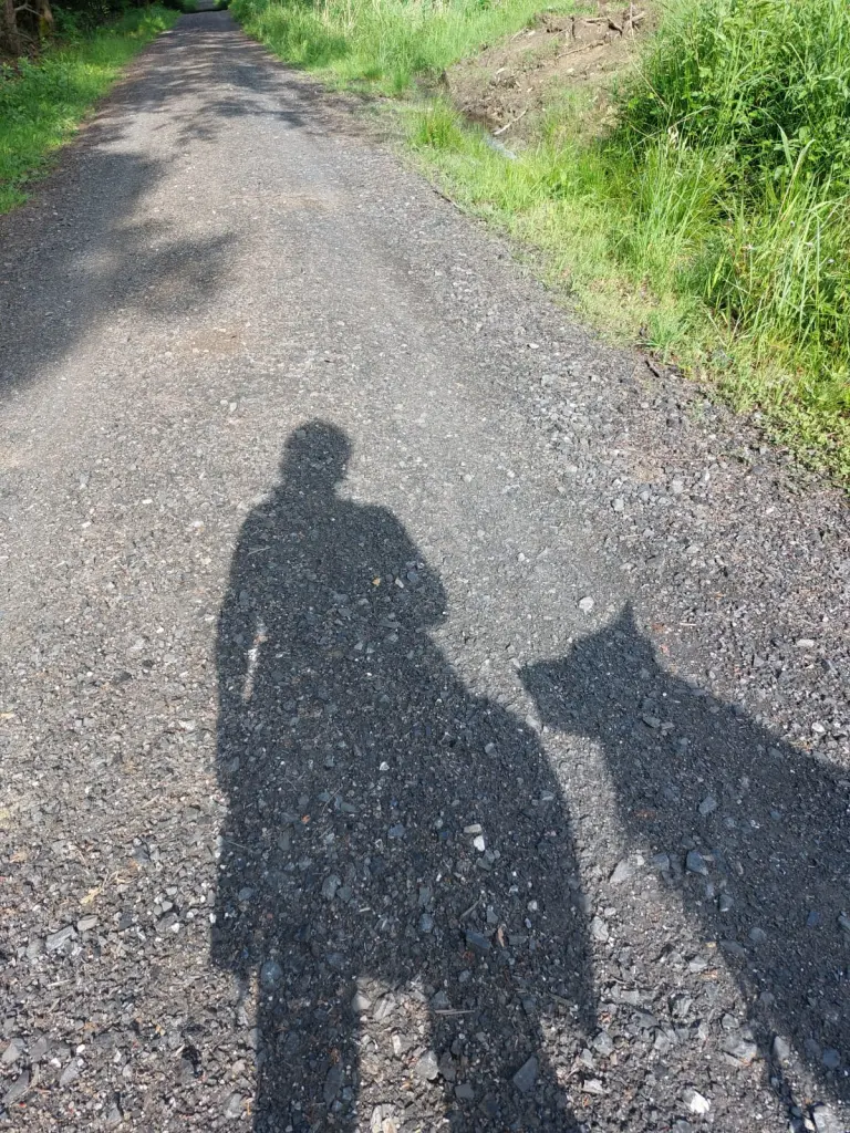 Image from Codiak