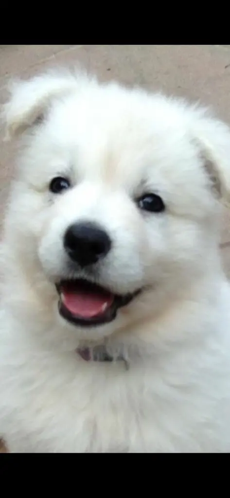 Mein Engel mit 9 Wochen