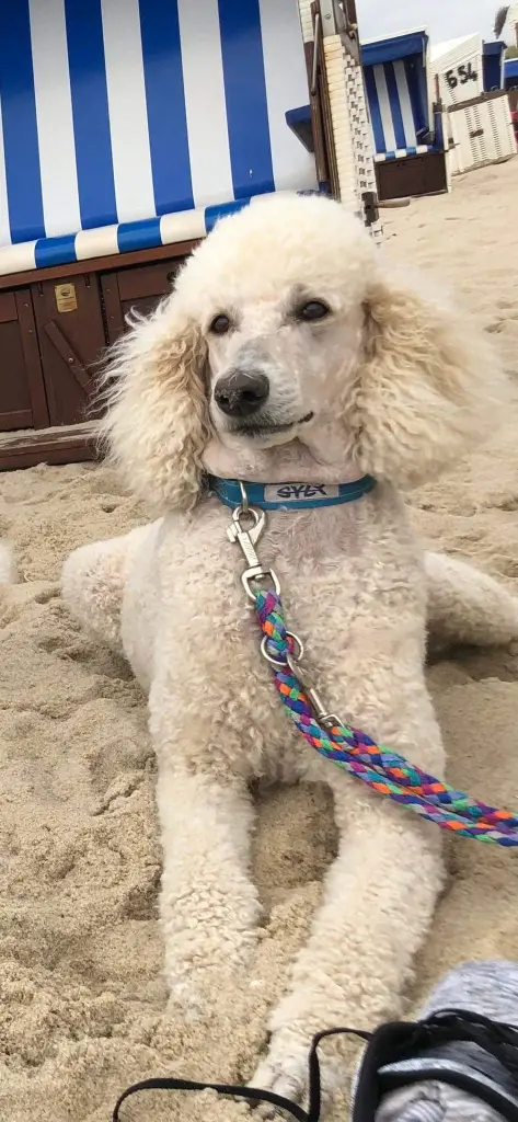 Bild von Blanka Luna