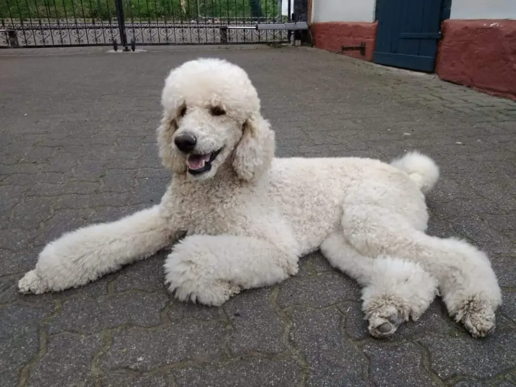 Bild von Blanka Luna