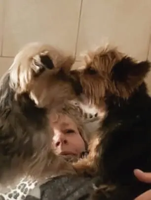 Mit Sammy ein Herz und eine Seele