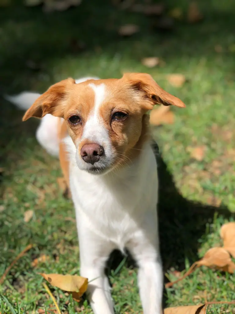 Andachtsbild von Nadine Baars