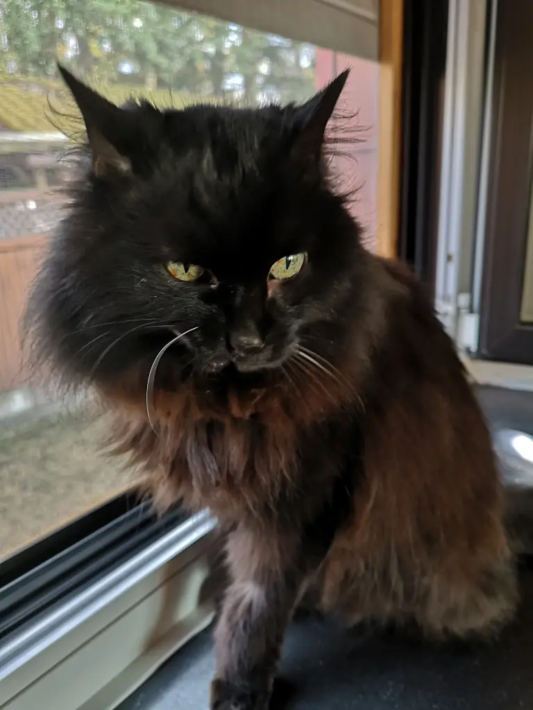 Andachtsbild von Dorina Wonn-Beleiu