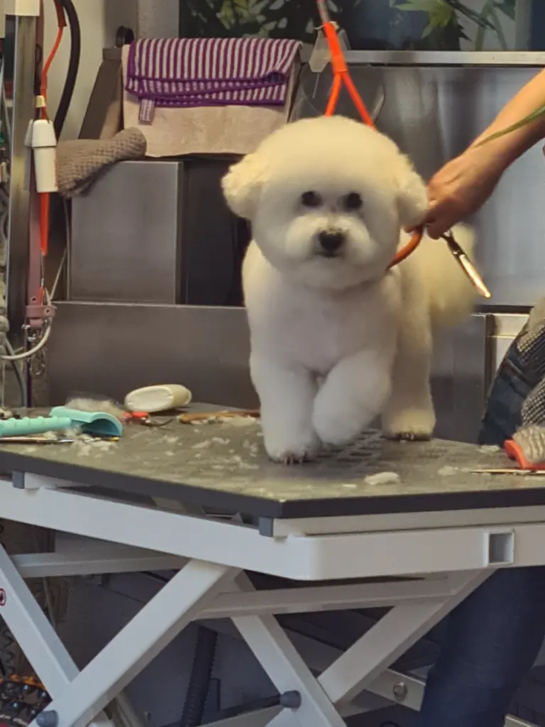 Andachtsbild von Katrin Zöllner