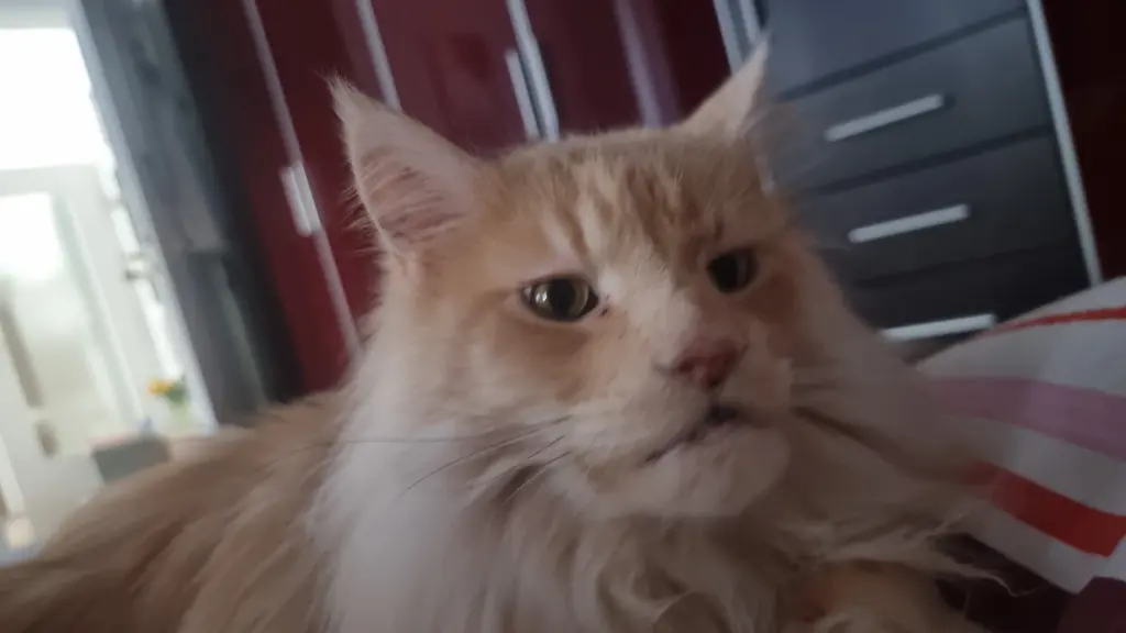 Image from Garfield