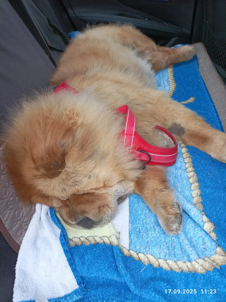 Condolence image of Margitta