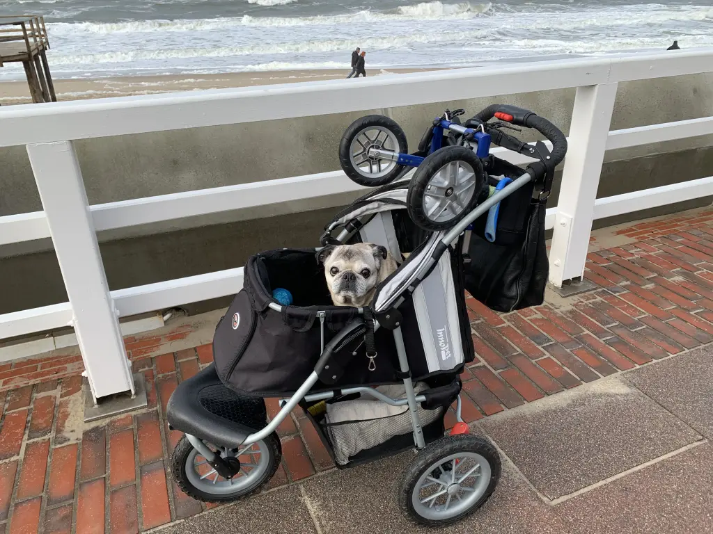 Mit buggy und rollwagen unterwegs… alles haben wir gemeinsam gemeistert