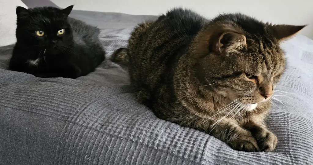 Andachtsbild von Chris