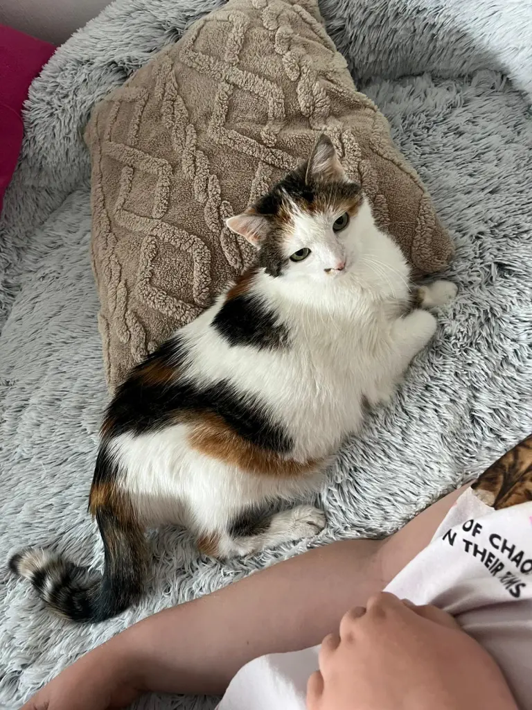 Condolence image of Eva Opperbeck