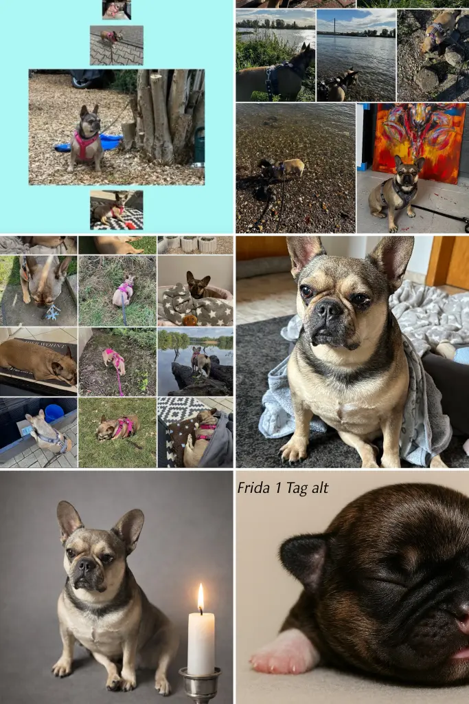 Image from Frida