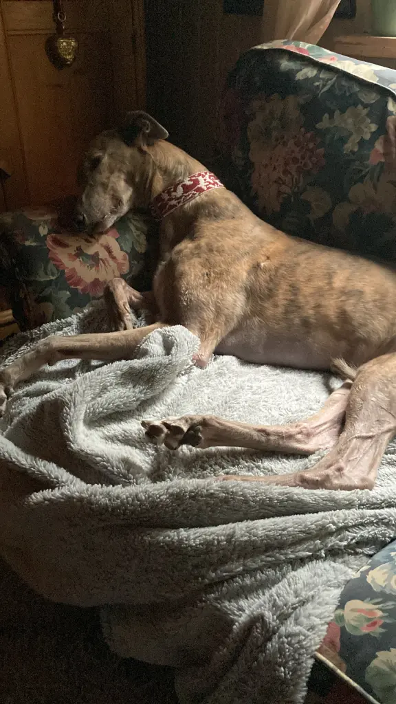 Andachtsbild von Mariele Klein