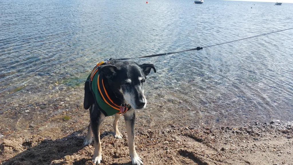 Unser letzter Urlaub
