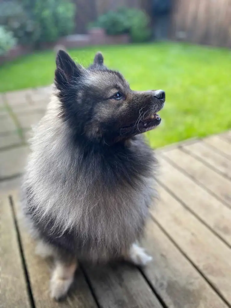 Andachtsbild von Natalja