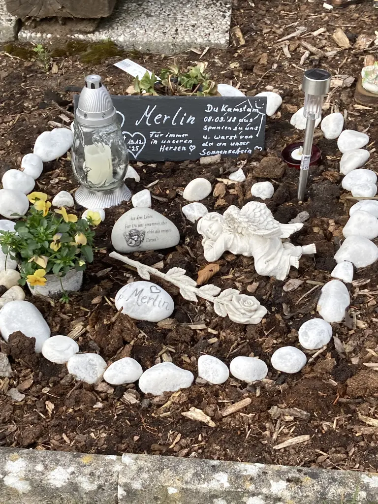 Condolence image of Rita Mather