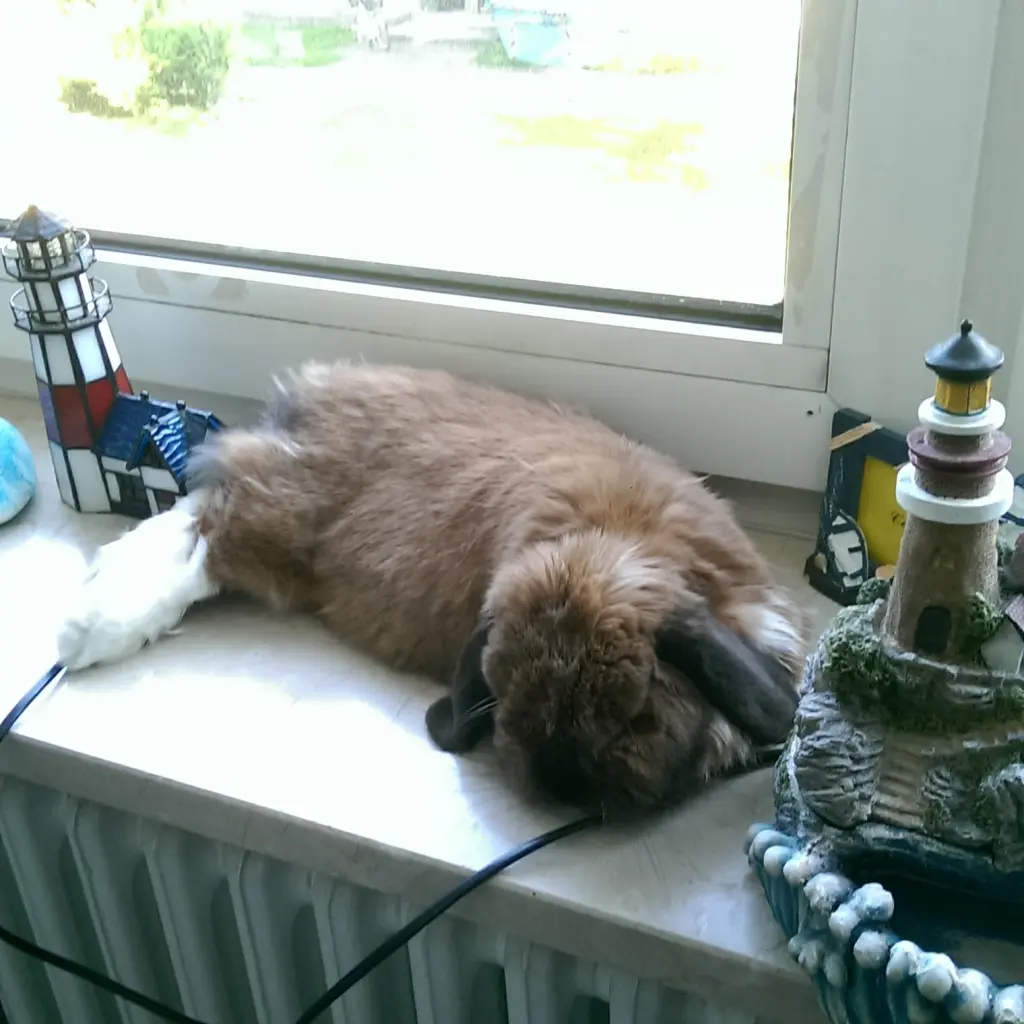 Andachtsbild von Andrea mit Schnuffi tief im ❤