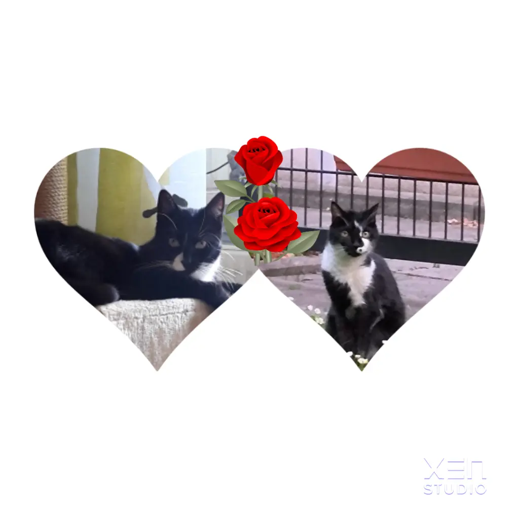 Andachtsbild von Manuela Slebioda