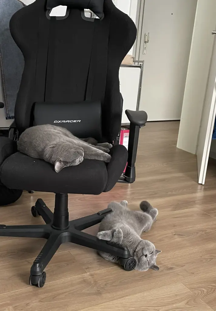 HomeOffice Mitarbeiter