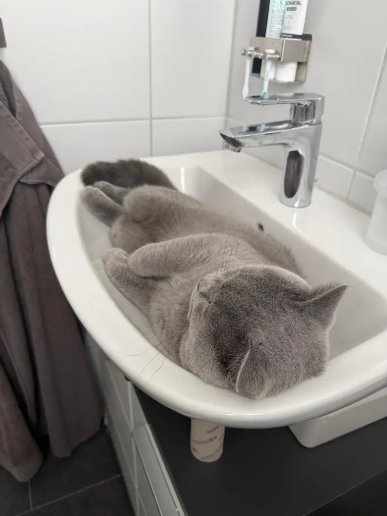 Abkühlende Momente im Badezimmer