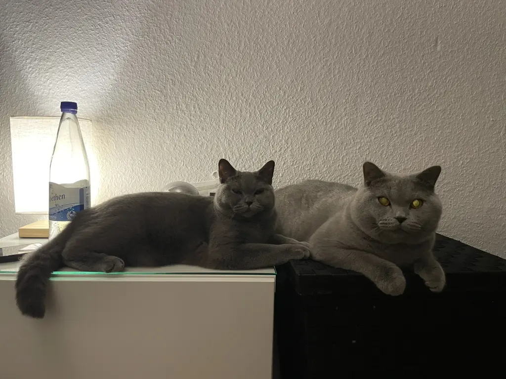 Ein gemeinsamer Lebensweg seit Tag 1