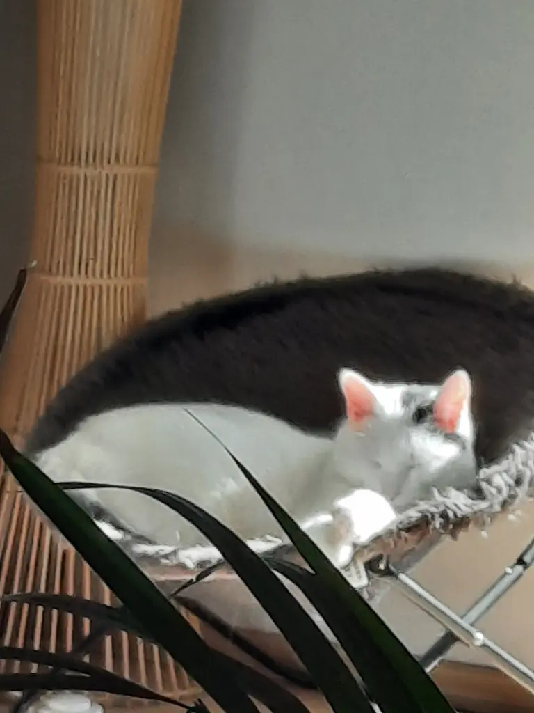 Andachtsbild von Kerstin