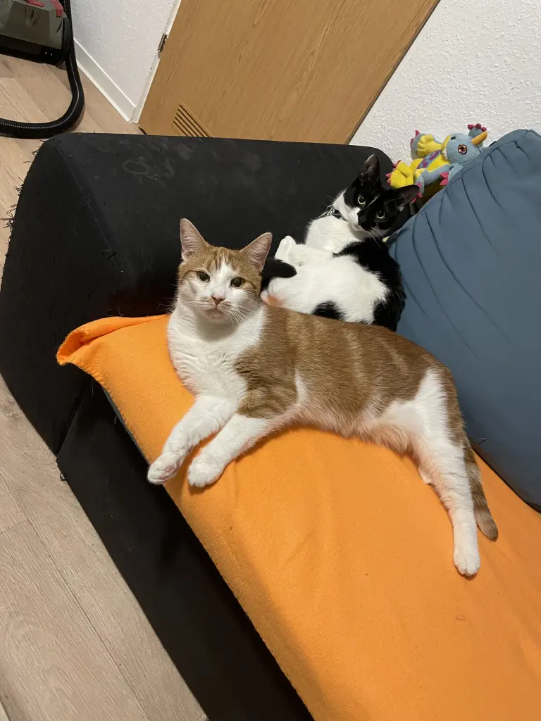 Ihr zwei. Nicht immer einer Meinung aber immer da wenn ihr euch gebraucht habt.