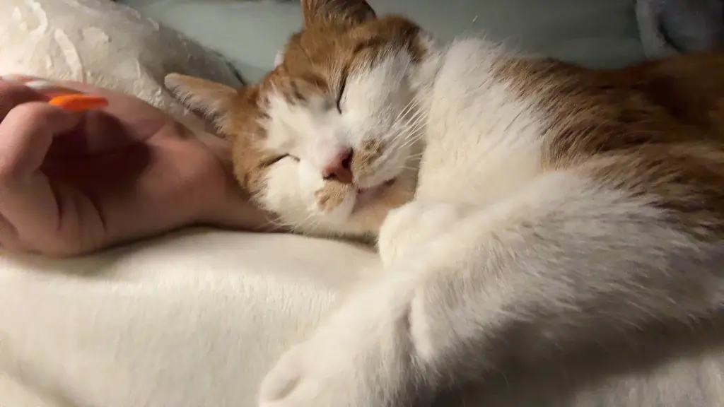 Deine Lieblingsbeschäftigung