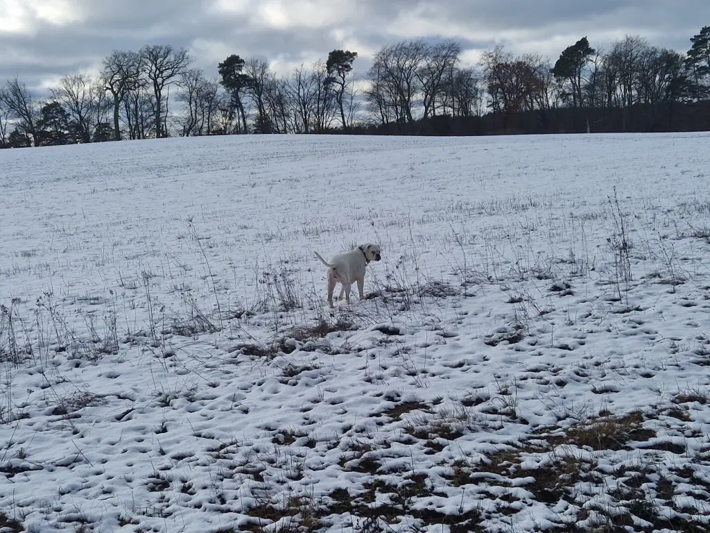 Image from Frieda