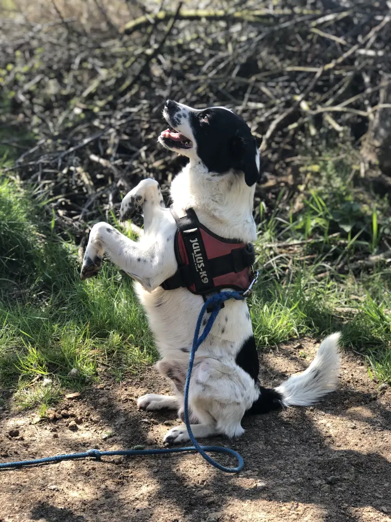 Andachtsbild von Aurora Olaf