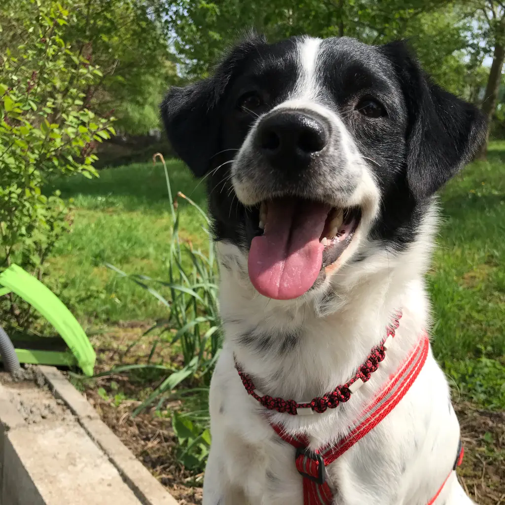 So behalten wir dich in Erinnerung