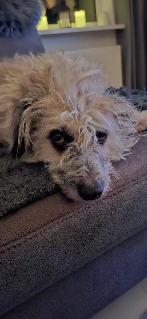 Andachtsbild von Britta Arnold