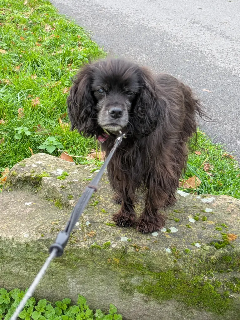 Schlafe sanft 😘🌈🌹