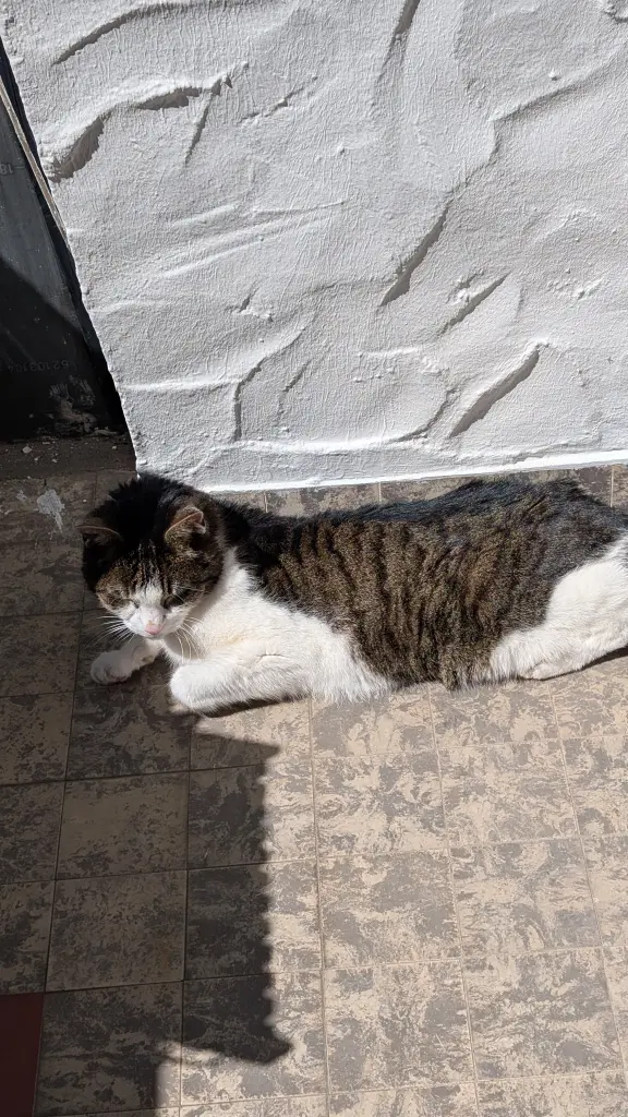 Andachtsbild von Irene Lehmann