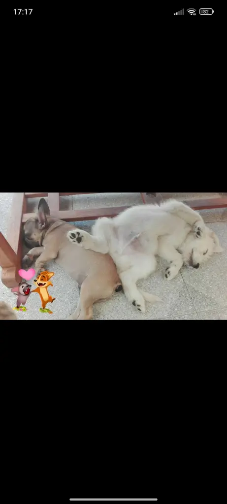 Andachtsbild von Kerstin Broszio