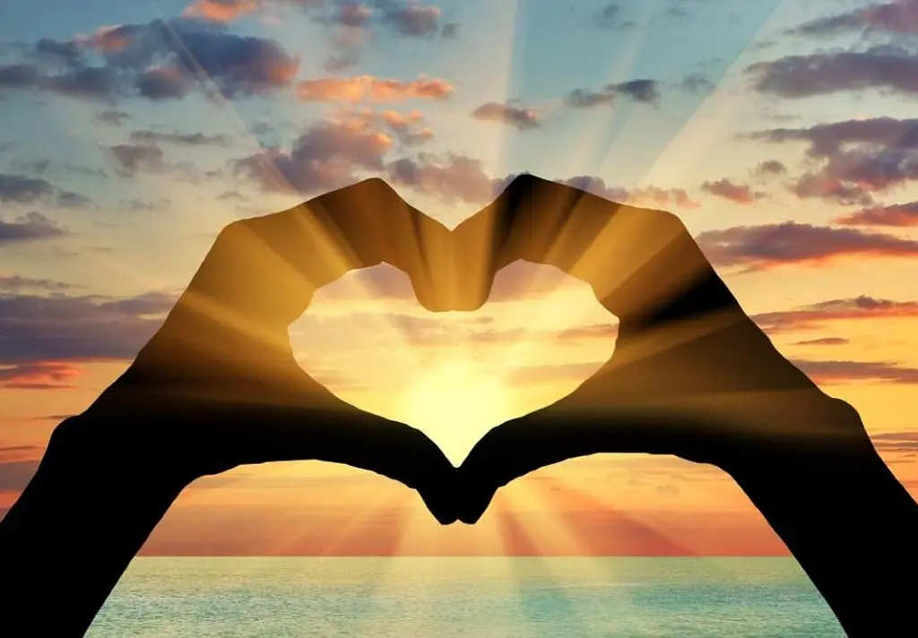 Bild von Miezbärchen's