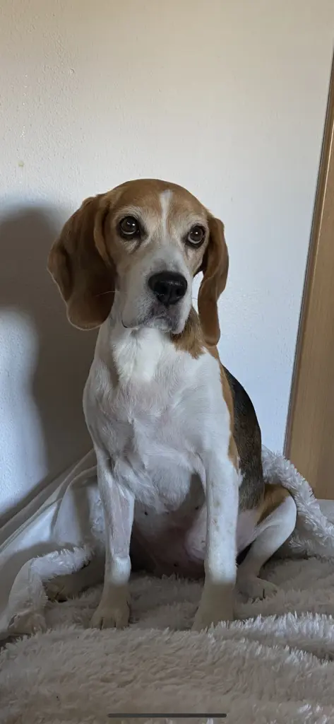 Andachtsbild von Ella mit Anja im Herzen ❤️