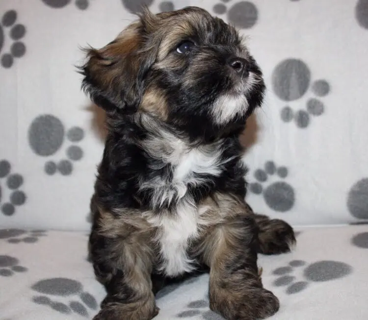 Nach diesem Foto haben wir uns ich Dich verliebt