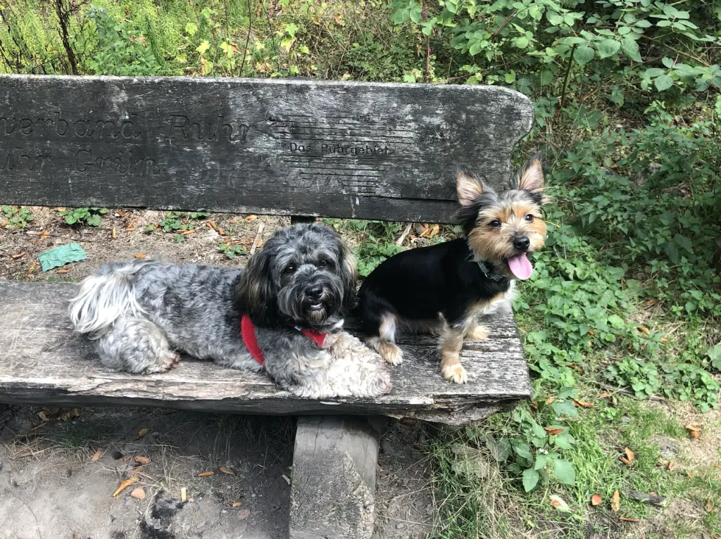 Aivis beste "Feindin" <3