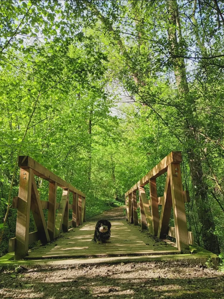 Andachtsbild von Anny