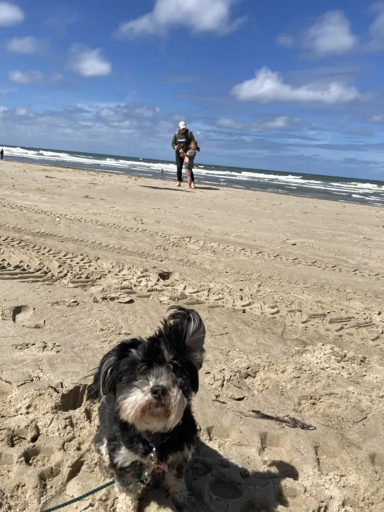 Andachtsbild von Mandy D