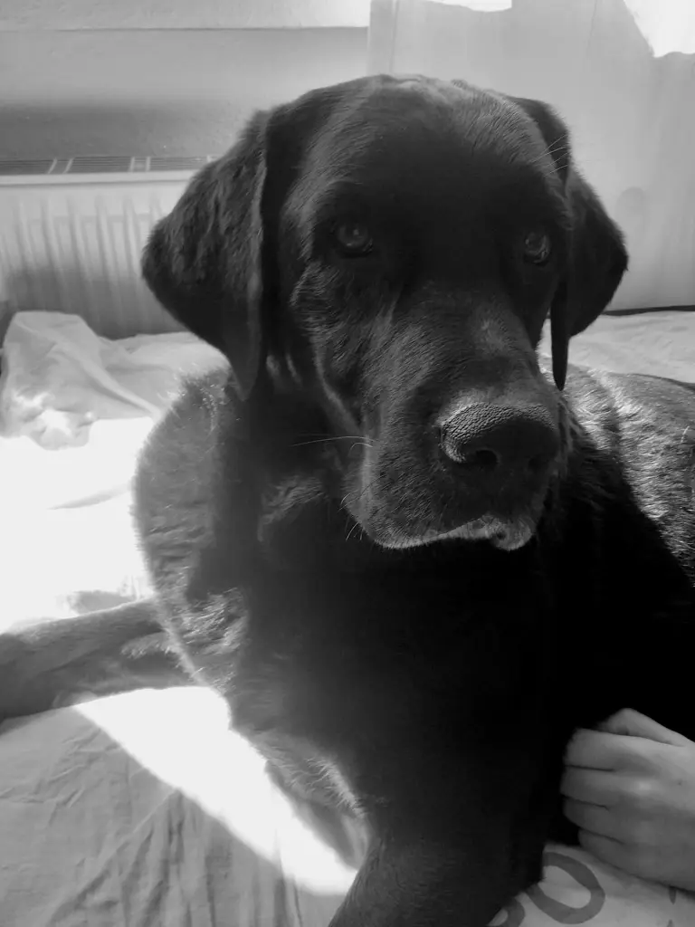 Andachtsbild von Susanne Hoffmann