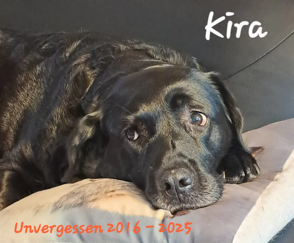 Bild von Kira