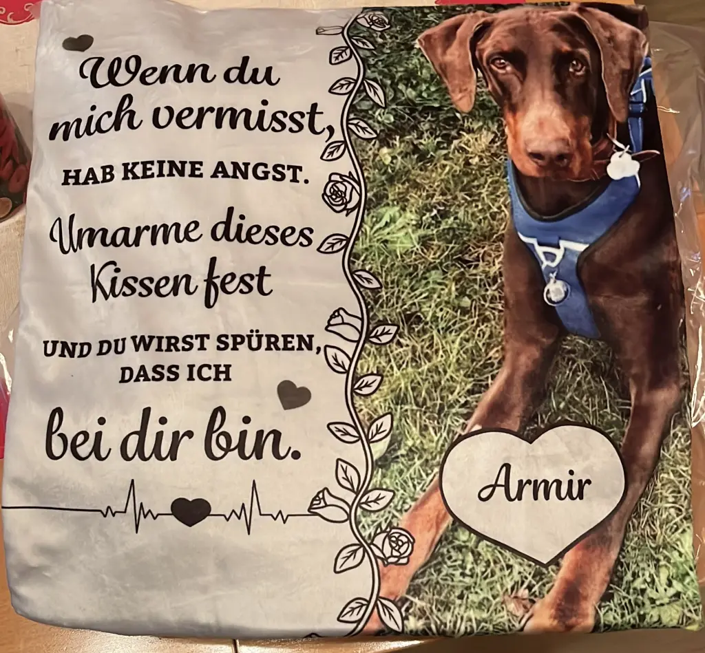 Bild von Amir