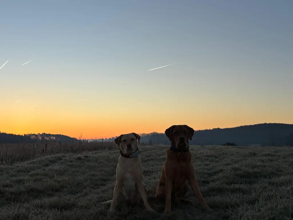 Andachtsbild von Bianka Werner