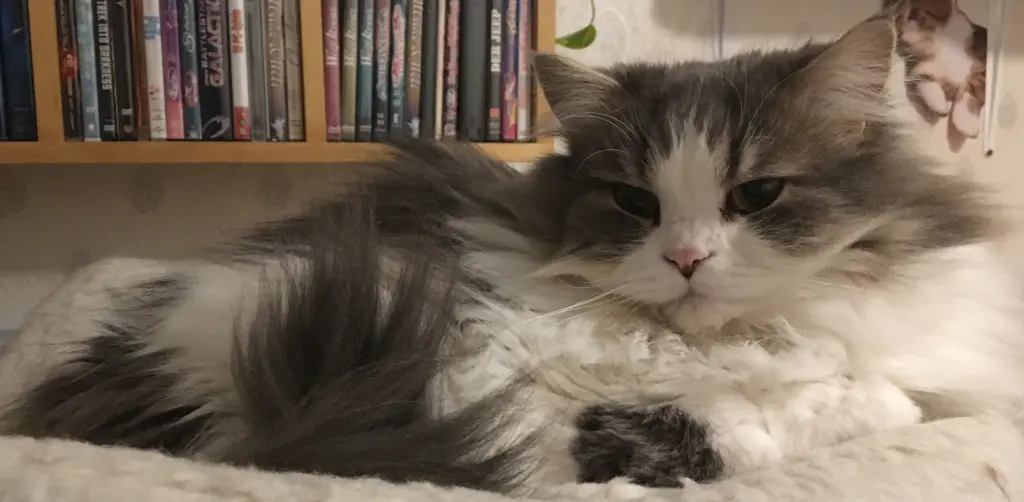 Andachtsbild von Thomas