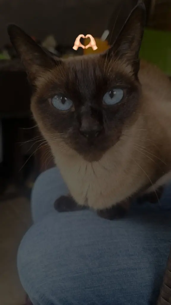 Condolence image of Sarah Lee Wagenknecht